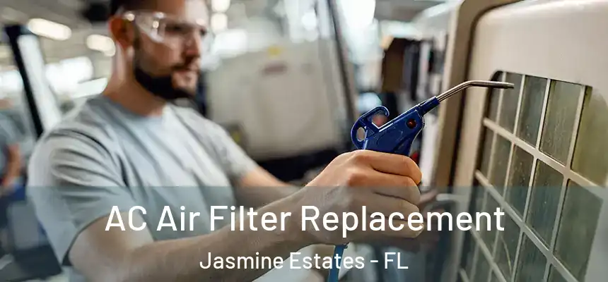  AC Air Filter Replacement Jasmine Estates - FL