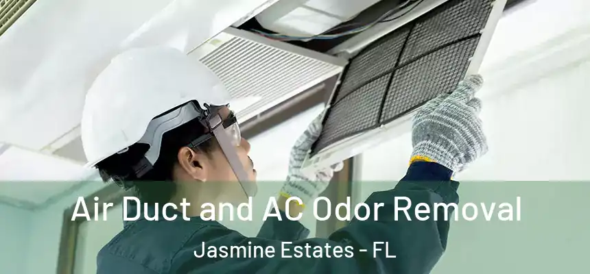 Air Duct and AC Odor Removal Jasmine Estates - FL