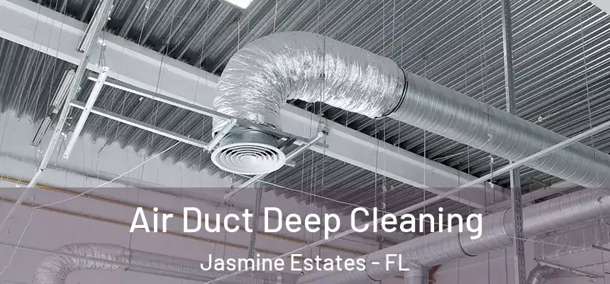 Air Duct Deep Cleaning Jasmine Estates - FL