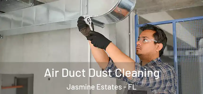 Air Duct Dust Cleaning Jasmine Estates - FL