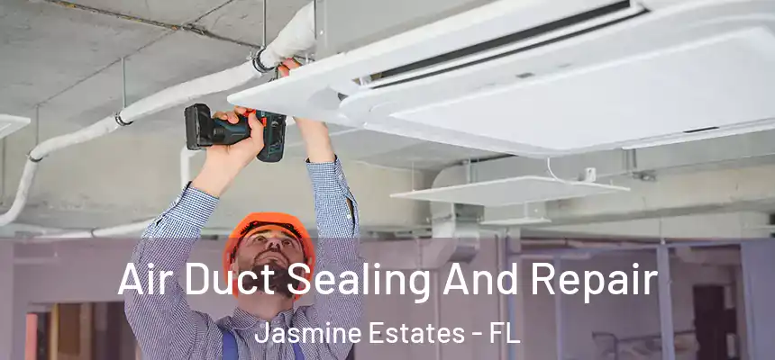 Air Duct Sealing And Repair Jasmine Estates - FL