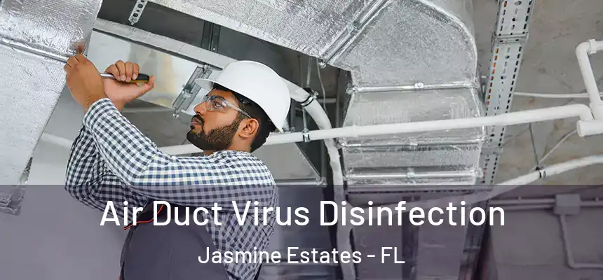  Air Duct Virus Disinfection Jasmine Estates - FL