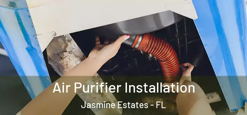 Air Purifier Installation Jasmine Estates - FL
