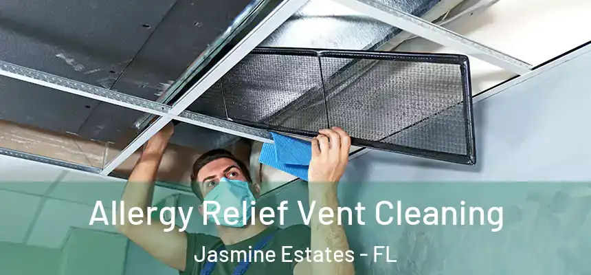 Allergy Relief Vent Cleaning Jasmine Estates - FL