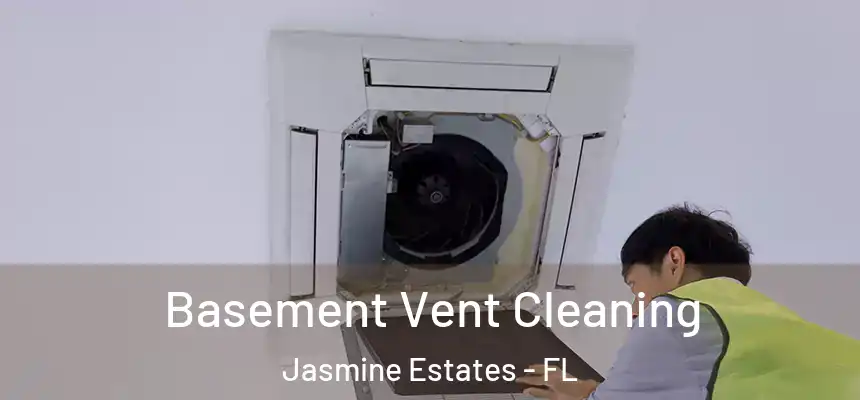 Basement Vent Cleaning Jasmine Estates - FL