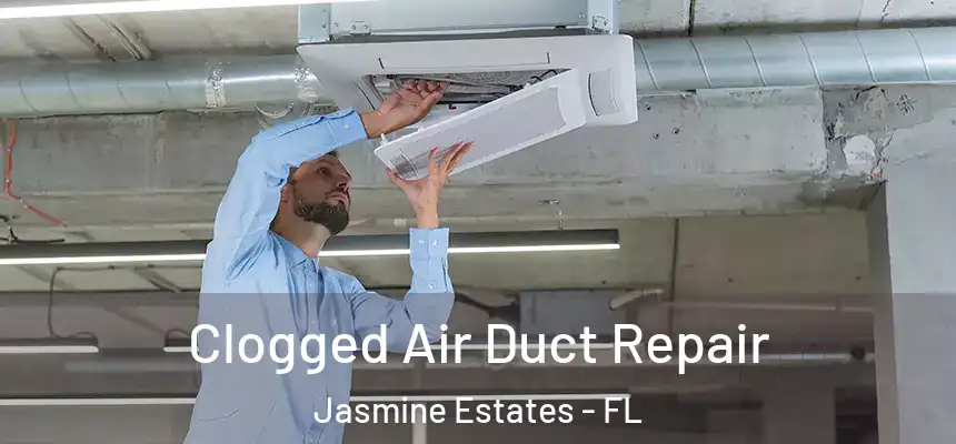  Clogged Air Duct Repair Jasmine Estates - FL