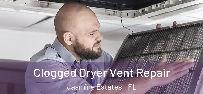 Clogged Dryer Vent Repair Jasmine Estates - FL