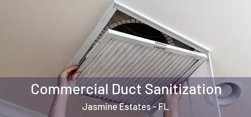 Commercial Duct Sanitization Jasmine Estates - FL