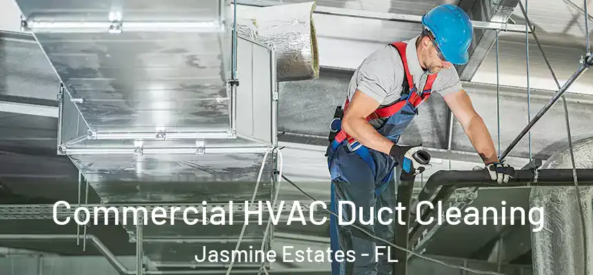  Commercial HVAC Duct Cleaning Jasmine Estates - FL