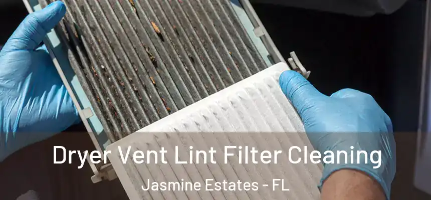 Dryer Vent Lint Filter Cleaning Jasmine Estates - FL