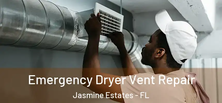  Emergency Dryer Vent Repair Jasmine Estates - FL