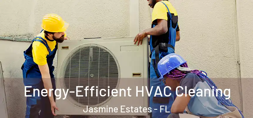 Energy-Efficient HVAC Cleaning Jasmine Estates - FL