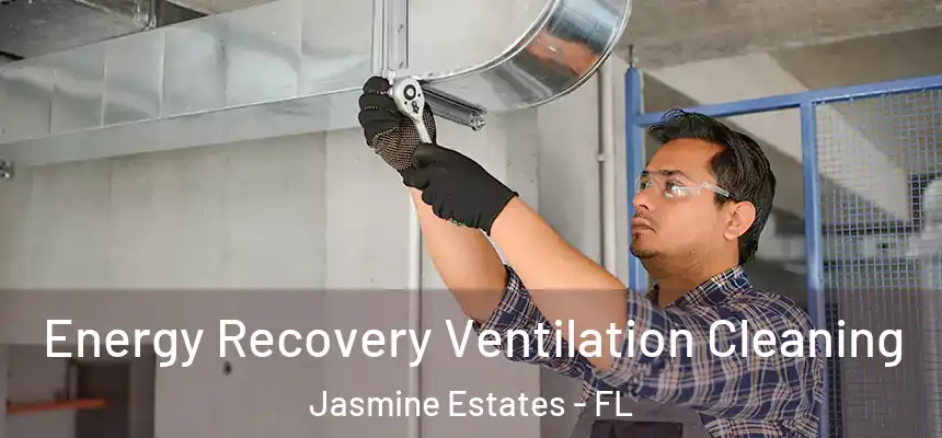 Energy Recovery Ventilation Cleaning Jasmine Estates - FL