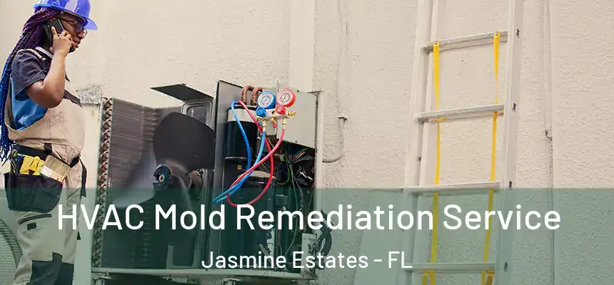 HVAC Mold Remediation Service Jasmine Estates - FL
