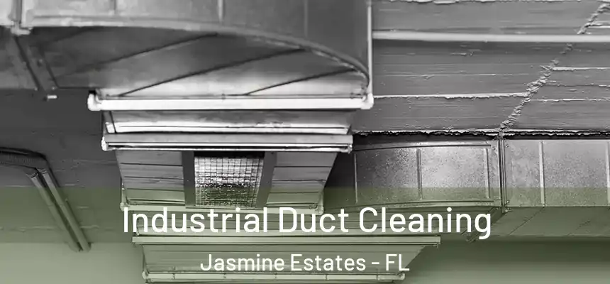 Industrial Duct Cleaning Jasmine Estates - FL
