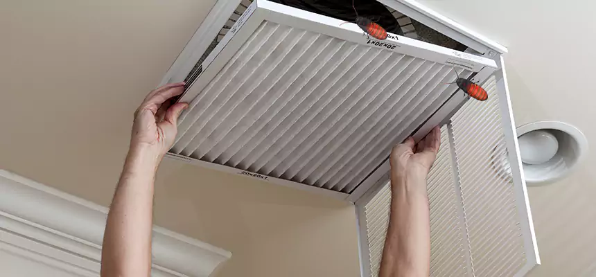 Preventive Cockroach-Proofing for Ducts in Jasmine Estates