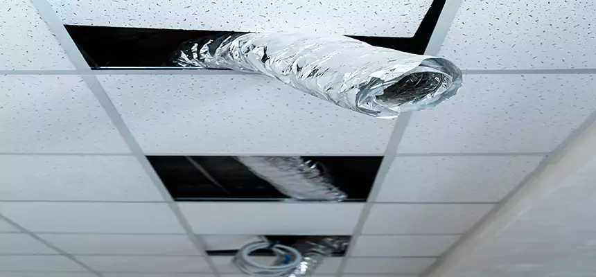 Affordable HVAC Sanitizing After Pest Removal in Jasmine Estates