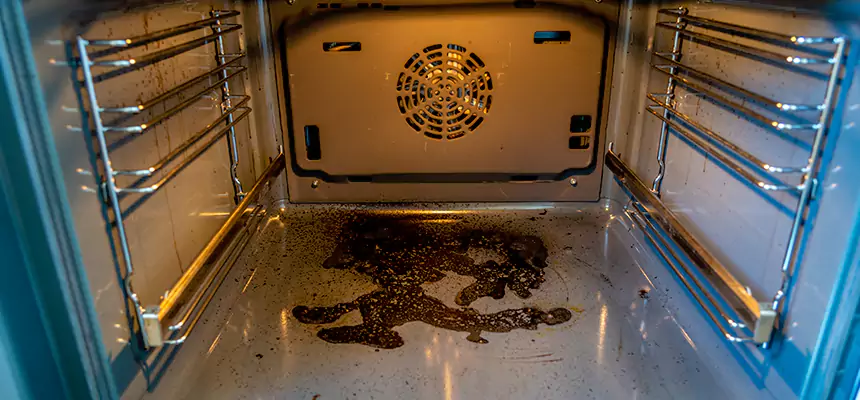 Our Dryer Vent Mold Cleaning Services in Jasmine Estates, FL