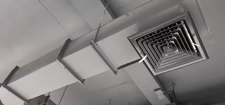 Our Pest Removal From Ducts Services in Jasmine Estates, FL