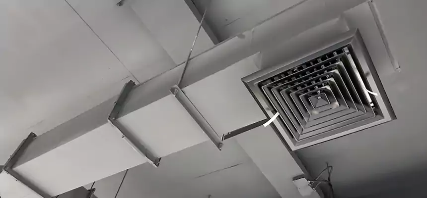 Our Rodent Droppings In Vents Services in Jasmine Estates, FL