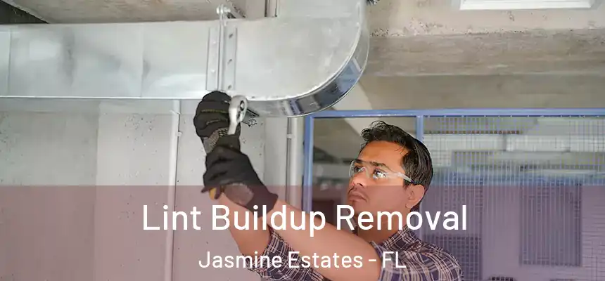 Lint Buildup Removal Jasmine Estates - FL