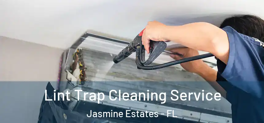 Lint Trap Cleaning Service Jasmine Estates - FL