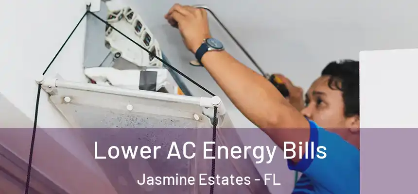 Lower AC Energy Bills Jasmine Estates - FL