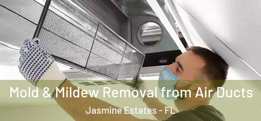 Mold & Mildew Removal from Air Ducts Jasmine Estates - FL