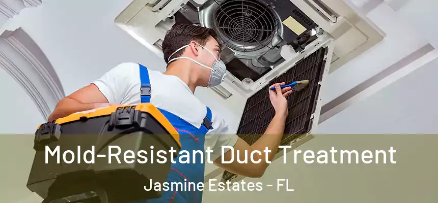 Mold-Resistant Duct Treatment Jasmine Estates - FL