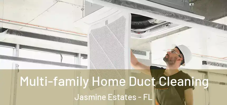 Multi-family Home Duct Cleaning Jasmine Estates - FL