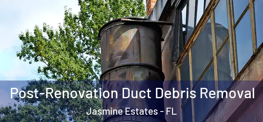 Post-Renovation Duct Debris Removal Jasmine Estates - FL