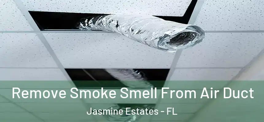 Remove Smoke Smell From Air Duct Jasmine Estates - FL