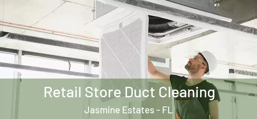 Retail Store Duct Cleaning Jasmine Estates - FL
