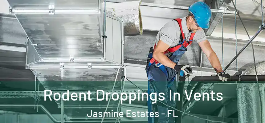 Rodent Droppings In Vents Jasmine Estates - FL