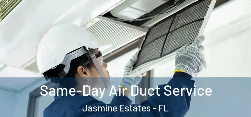 Same-Day Air Duct Service Jasmine Estates - FL