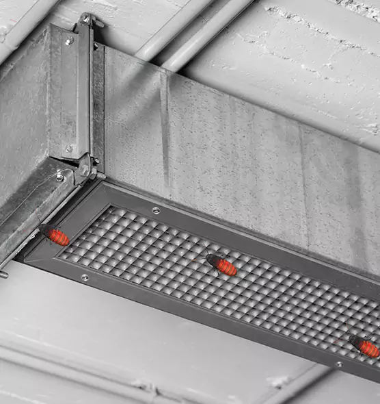 About Air Duct Cockroach Removal in Jasmine Estates, FL