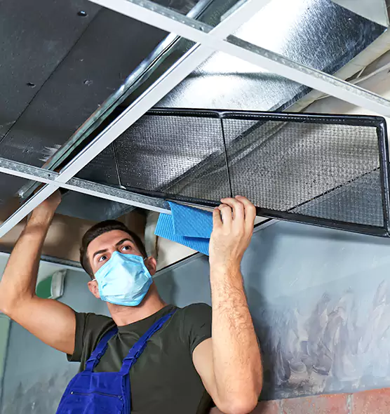 Professional Air Duct Pollen Cleaning in Jasmine Estates, FL