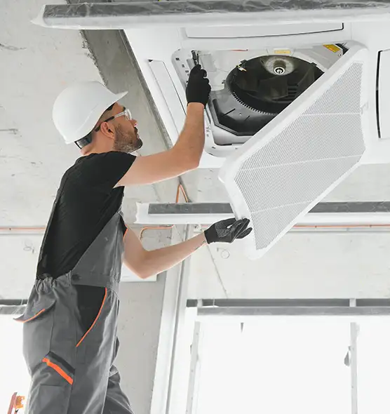 About Air Duct Rodent Removal in Jasmine Estates, FL