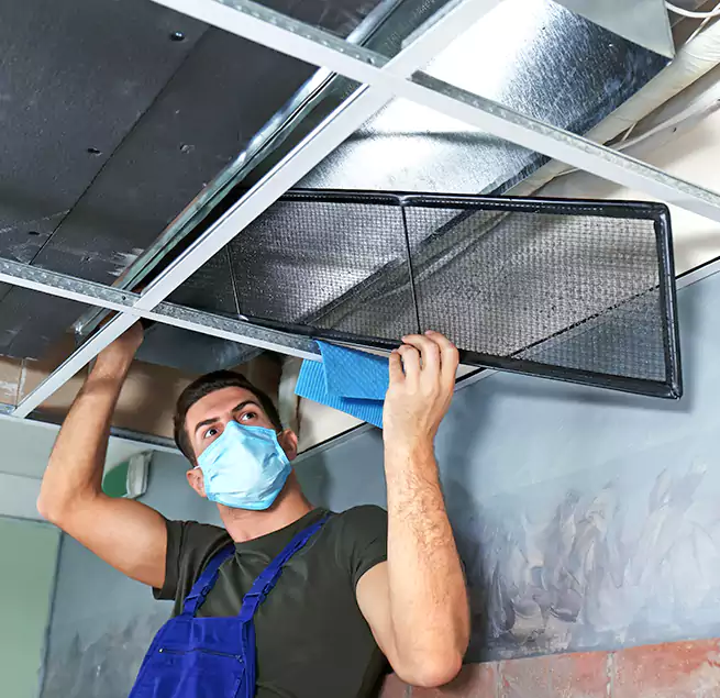 Why Homeowners Businesses Trust Us in Jasmine Estates, FL