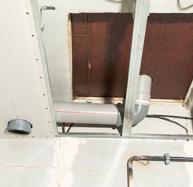 Why Homeowners & Businesses Trust Us in Jasmine Estates, FL?