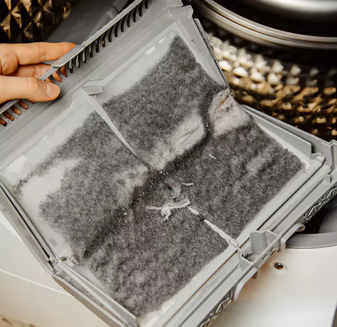 Why Homeowners & Businesses Trust Us Jasmine Estates, FL?