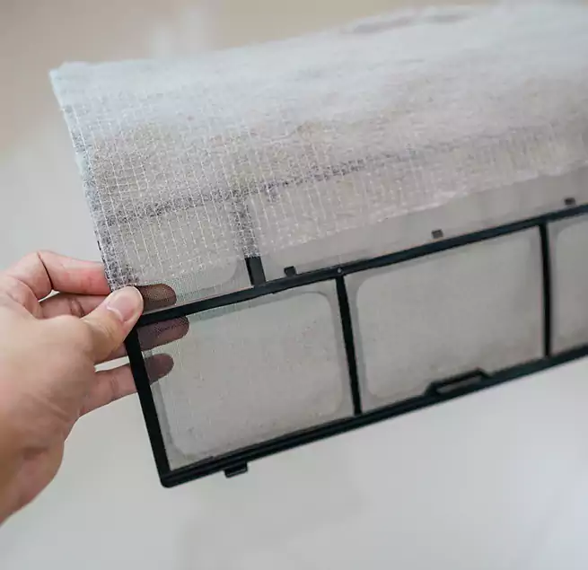 Why Homeowners & Businesses Trust Us in Jasmine Estates, FL?