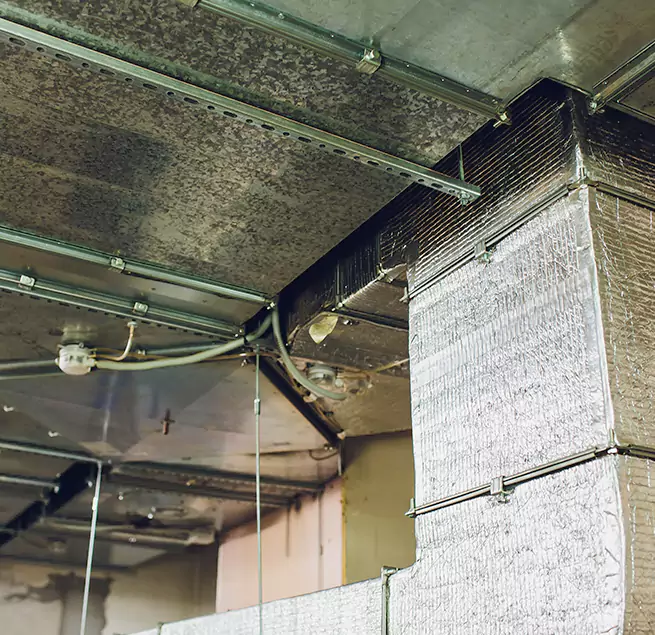 Why Homeowners & Businesses Trust Us in Jasmine Estates, FL?