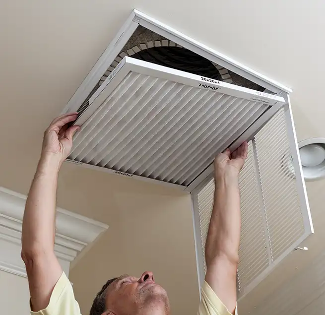 Why Homeowners & Businesses Trust Us in Jasmine Estates, FL?