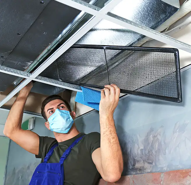 Why Homeowners & Businesses Trust Us in Jasmine Estates, FL?