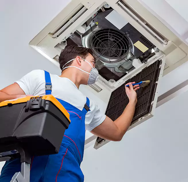 Why Homeowners & Businesses Trust Us in Jasmine Estates, FL?