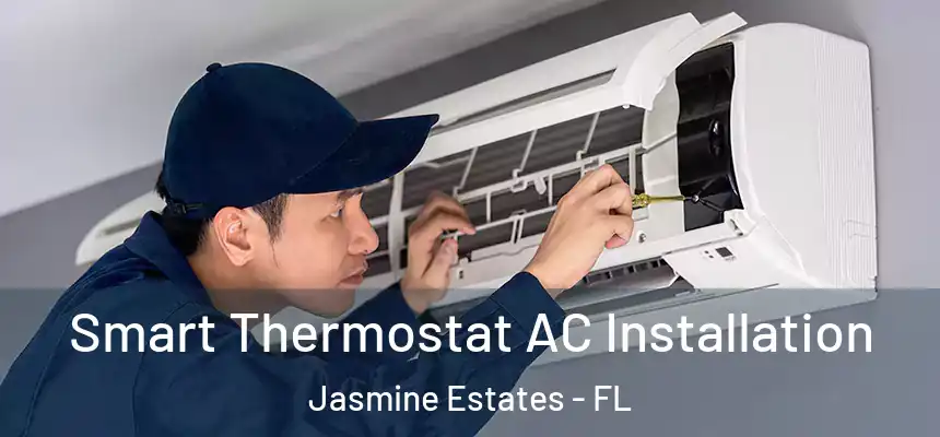Smart Thermostat AC Installation Jasmine Estates - FL
