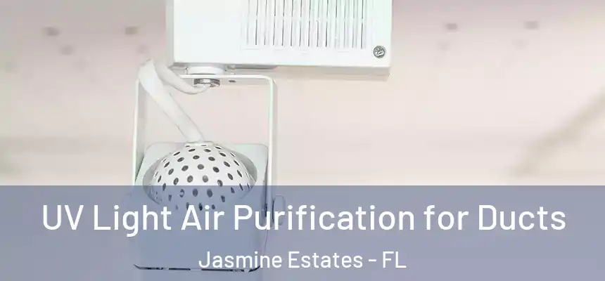  UV Light Air Purification for Ducts Jasmine Estates - FL