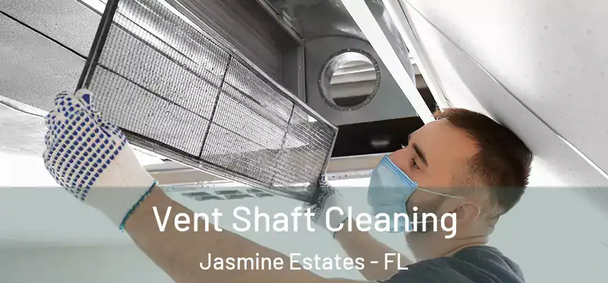 Vent Shaft Cleaning Jasmine Estates - FL