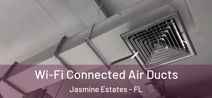 Wi-Fi Connected Air Ducts Jasmine Estates - FL